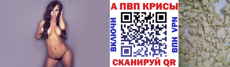 Купить закладки  Суджа  APVP СК 