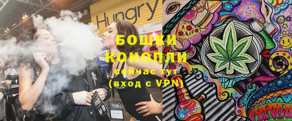 спиды Новозыбков