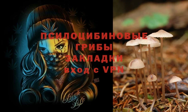 спиды Новозыбков
