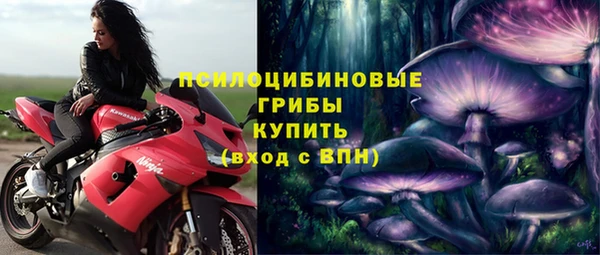 спиды Новозыбков