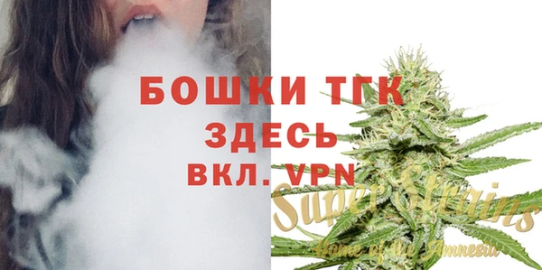 спиды Новозыбков