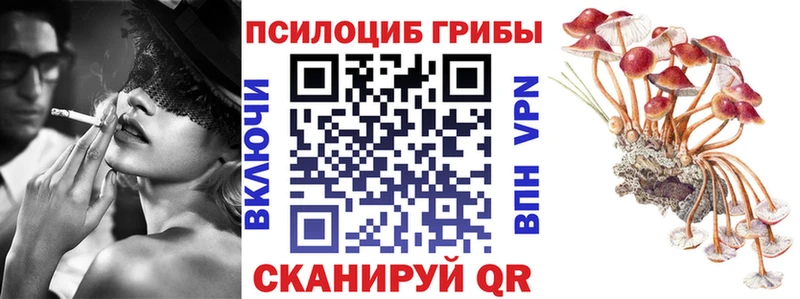 Купить закладки  Суджа  Псилоцибиновые грибы ЛСД 